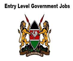 Government Jobs With Up to Ksh 500K Salary and Application Instructions