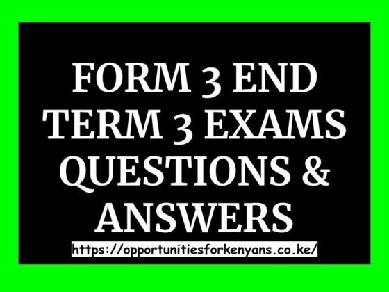 form 3 essay question