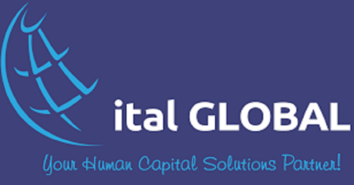 Customer Service Representative (E- Commerce) - Nairobi at Ital Global